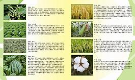 化肥使用手冊 內頁圖片