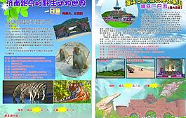日照 花果山旅游彩頁圖片
