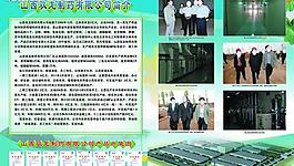 公司簡介宣傳頁圖片