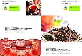 茶葉產品手冊設計圖片