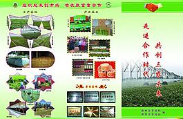 農牧局三折頁圖片