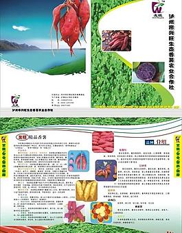 香薯圖片