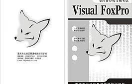 visual foxpro封面設(shè)計(jì)圖片