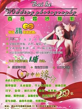 百合攝影海報(bào)圖片