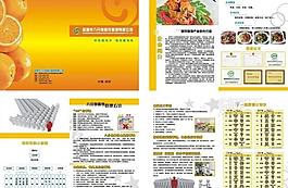 八分飽宣傳冊圖片