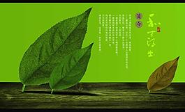 画册简介图片