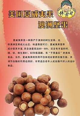 干果畫冊(cè)圖片