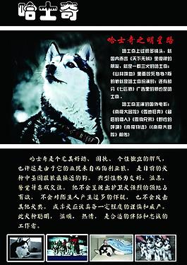 狗的畫冊圖片