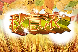 秋季秋意濃素材下載