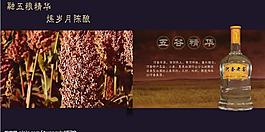 白酒画册图片
