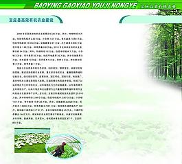 畫(huà)冊(cè)內(nèi)頁(yè)圖片