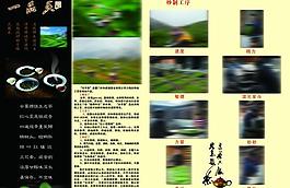 茶 宣傳圖片