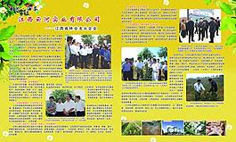油茶畫冊圖片