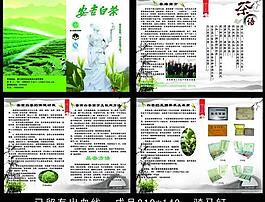 安吉白茶畫冊圖片