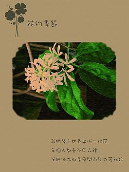 花的季節(jié)圖片