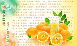 橙子宣传册图片