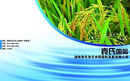 農(nóng)業(yè)水稻封面圖片