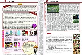 公司报纸图片