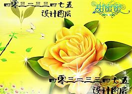 玫瑰花圖片