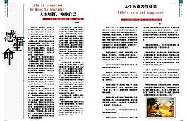 雜志內(nèi)頁(yè)圖片