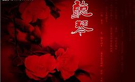 攝影模板圖片