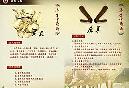 醫(yī)藥宣傳冊 正面圖片