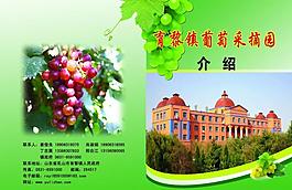 葡萄节手册封面图片