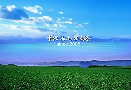 茶源 茶園 天空 白云 圣地高山出好茶圖片