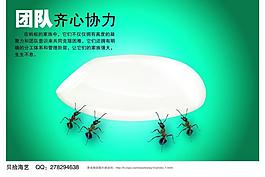 企業(yè)文化展板圖片