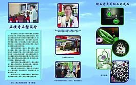 奇石宣傳冊圖片