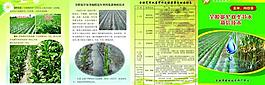 向日葵四折页1图片