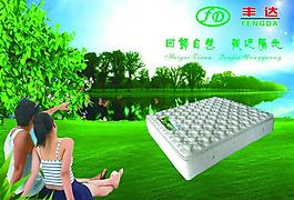彩頁圖片