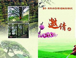 邀請(qǐng)函封面設(shè)計(jì)圖片