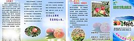 公司三折頁圖片
