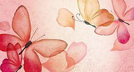 蝴蝶圖片