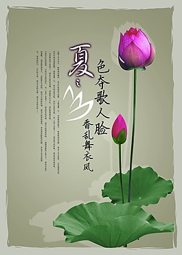 夏蓮