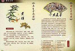 醫(yī)藥宣傳冊正面圖片