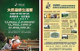 dm宣傳單圖片