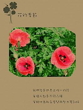 花的季節(jié)圖片