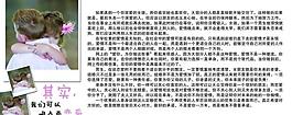 愛情故事圖片