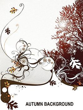 秋天背景 時尚花紋圖片