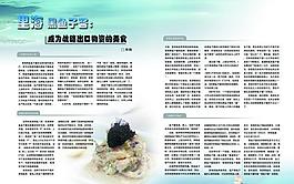 杂志内页图片