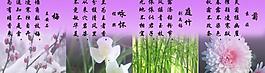 梅 蘭 竹 菊圖片