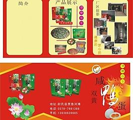 鴨蛋三折頁(yè)圖片