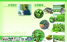 福松折页图片