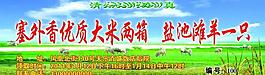 福利卷圖片