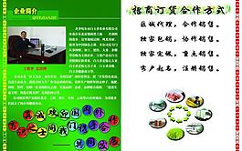 傳單內(nèi)頁(yè)圖片