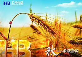 秋天圖片