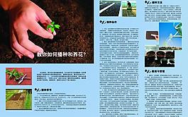 教你播種和養花圖片