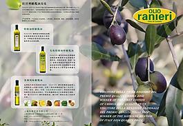 橄欖油單頁圖片